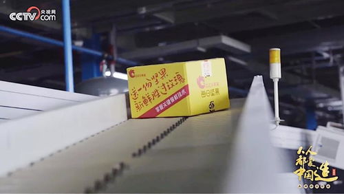 央視再訪洽洽透明工廠 揭秘“新鮮”密碼，看洽洽如何以網絡技術服務引領行業變革
